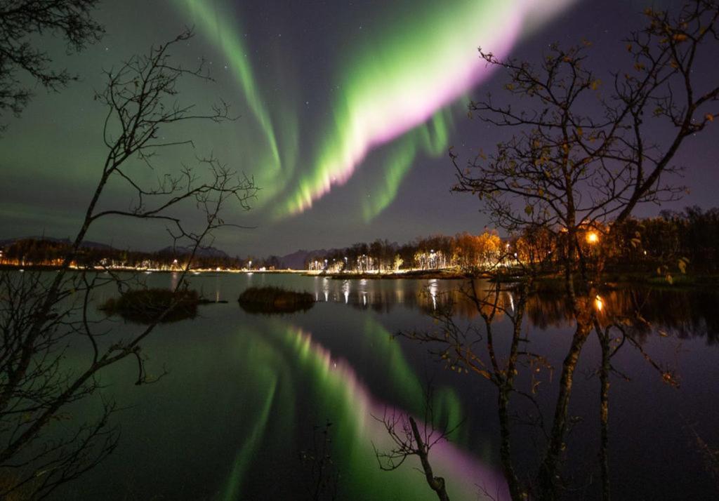 Spacious & Lovely Aurora I Free Parking Ferienhaus *